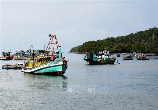 Có cơ chế, chính sách để phát triển vùng biển, hải đảo