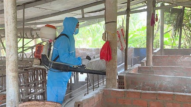 Phun thuốc khử trùng chuồng trại. (Ảnh: TTXVN phát)