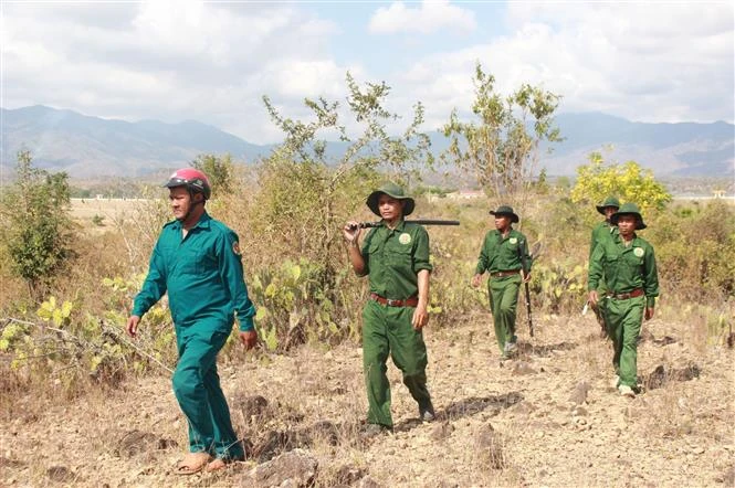 Cán bộ Trạm Bảo vệ rừng xã Phước Vinh (Ninh Phước, Ninh Thuận) cùng lực lượng tổ cộng đồng tuần tra, kiểm tra rừng tại địa phương. Ảnh: Công Thử - TTXVN 
