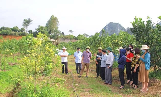 Sản xuất nông sản an toàn, góp phần bảo vệ môi trường
