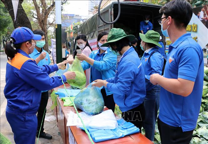 Hỗ trợ tiêu thụ nông sản ứ đọng tại Hải Phòng 