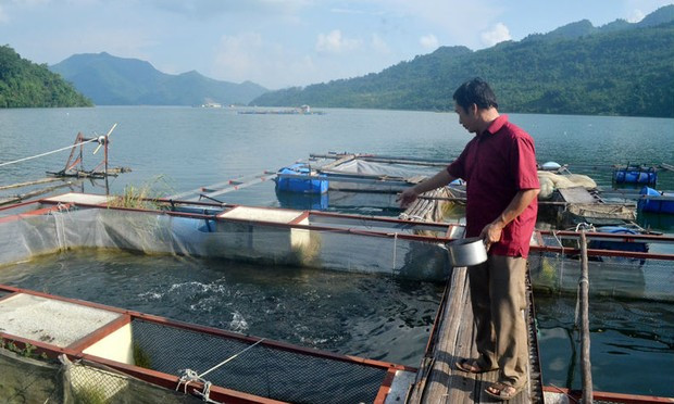 Xây dựng thương hiệu cá sông Đà