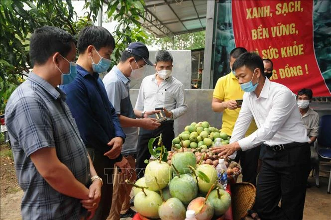 Các đại biểu tìm hiểu sản phẩm nông sản của huyện Yên Châu, tỉnh Sơn La. Ảnh: Quang Quyết-TTXVN