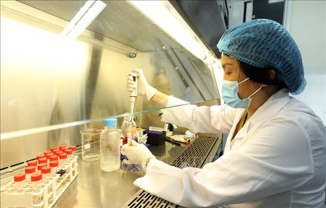PGS.TS Lê Thị Quỳnh Mai làm việc tại Phòng Thí nghiệm của Viện Vệ sinh Dịch tễ Trung ương. Ảnh: Anh Tuấn – TTXVN