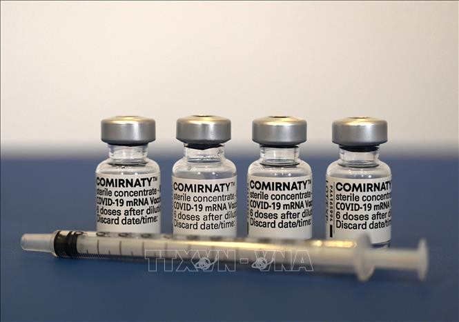 Vaccine ngừa COVID-19 của Pfizer/BioNTech. Ảnh: AFP/TTXVN