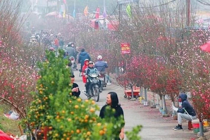 Trình phương án nghỉ Tết Nguyên đán 2024 từ 29/12 tháng Chạp