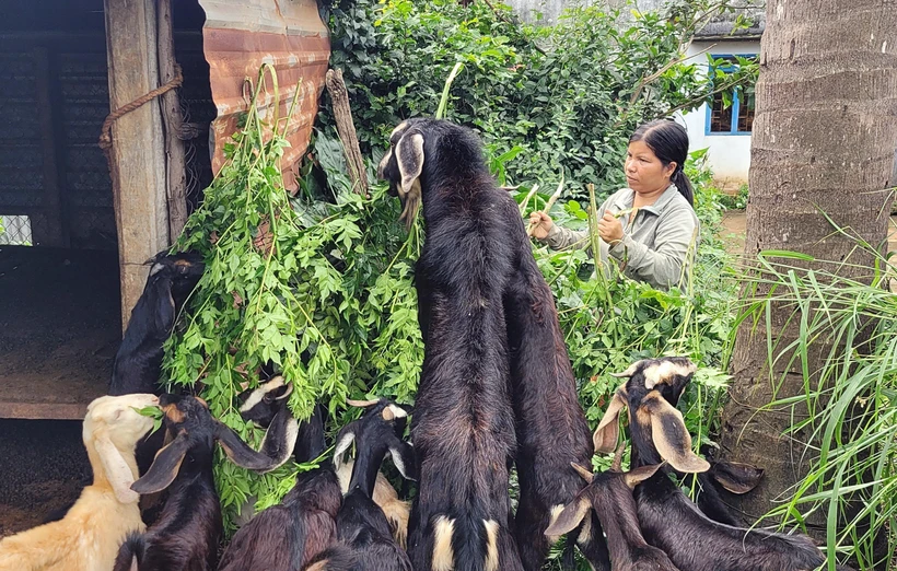Đoàn kết giảm nghèo, xây dựng nông thôn mới ở xã Gào anh hùng