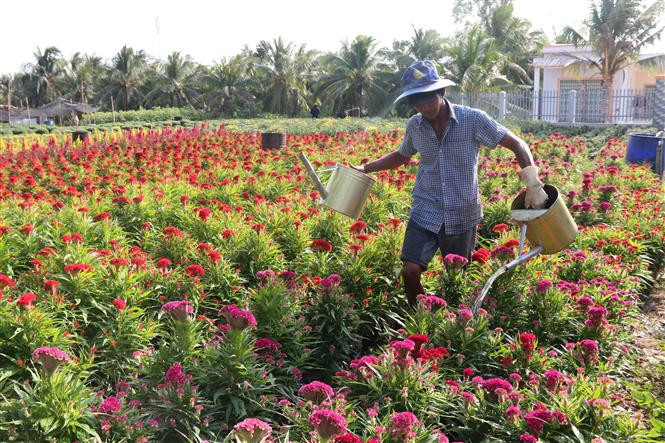 Phát triển du lịch làng nghề: *Bài 2: Tạo sức sống mới