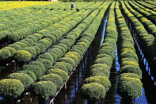 Phát triển du lịch làng nghề: * Bài 1: Xây dựng sản phẩm từ thế mạnh