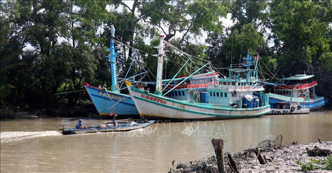 Tàu cá neo đậu khu vực vùng biển Rạch Giá (Kiên Giang). Ảnh: Lê Huy Hải - TTXVN