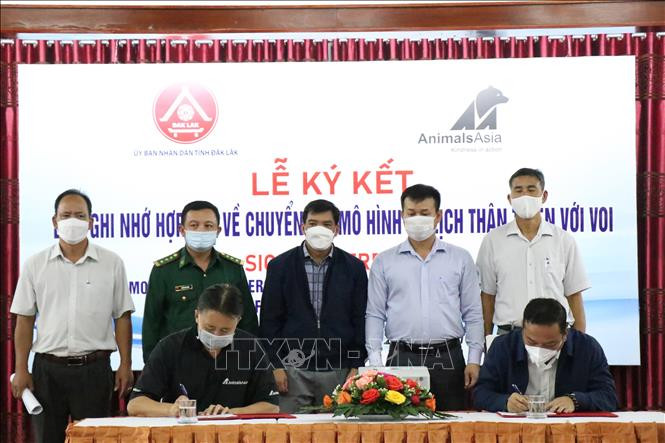 Hợp tác triển khai mô hình du lịch sinh thái thân thiện với voi tại Đắk Lắk