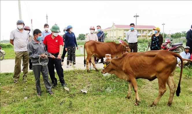 Quảng Bình: Trao sinh kế giúp hộ khó khăn thoát nghèo bền vững