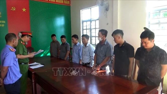 Lâm Đồng khởi tố 7 cán bộ bảo kê phá rừng