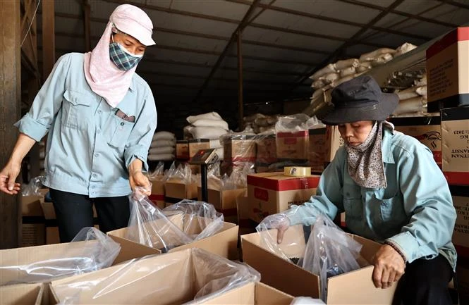 Diện mạo mới ở địa phương đi đầu xây dựng nông thôn mới của Phú Thọ