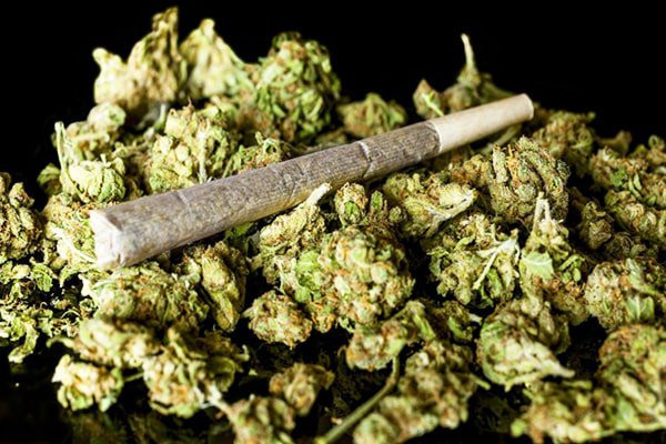 Rối loạn sử dụng cần sa liên quan đến nguy cơ mắc bệnh tâm thần phân liệt ở thanh niên