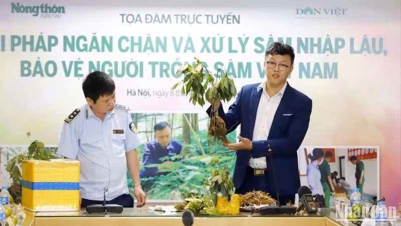Ông Trần Đức An, Giám đốc điều hành Công ty Cổ phần sâm Ngọc Linh Tu Mơ Rông Kon Tum chia sẻ về nhận diện sâm trong nước và các loại sâm không rõ nguồn gốc xuất xứ. Ảnh: nhandan.vn