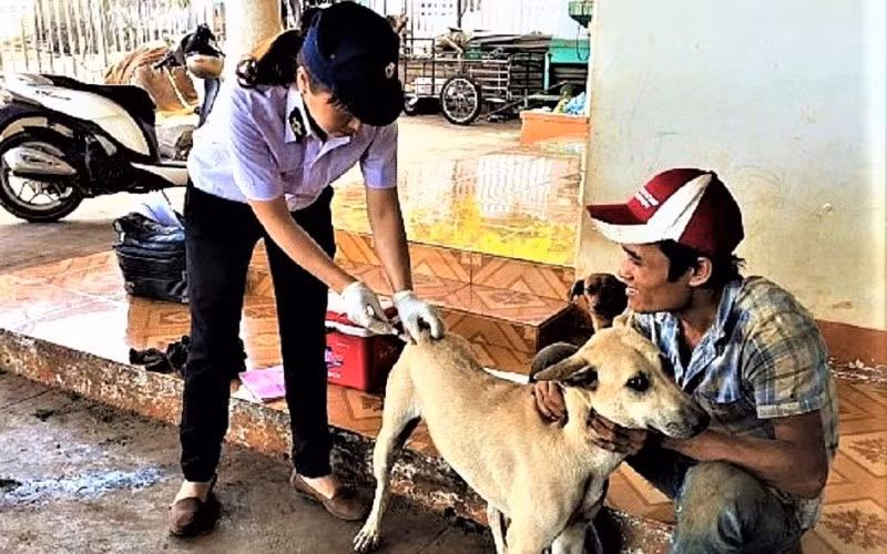 Đắk Lắk tăng cường các biện pháp cấp bách phòng, chống bệnh dại ​