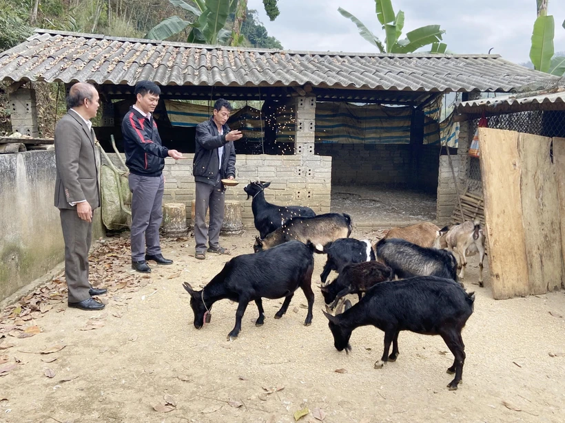Nhờ kết hợp đa dạng các mô hình trong sản xuất nông nghiệp, gia đình anh Hồ Văn Trường ở bản Huổi Sen, xã Mường So, huyện Phong Thổ đã thoát khỏi diện hộ nghèo. Ảnh: Việt Hoàng-TTXVN