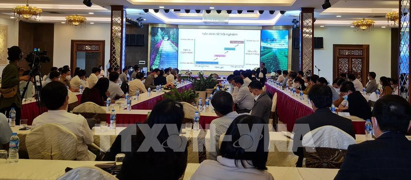 Gia Lai tận dụng tiềm năng tạo bước ngoặt về sản phẩm nông nghiệp