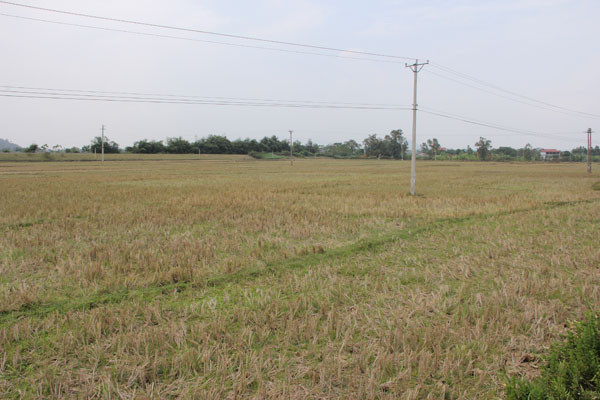 Vĩnh Phúc triển khai biện pháp cấp bách ứng phó với nguy cơ nắng nóng, hạn hán