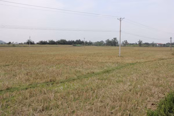 Vĩnh Phúc triển khai biện pháp cấp bách ứng phó với nguy cơ nắng nóng, hạn hán