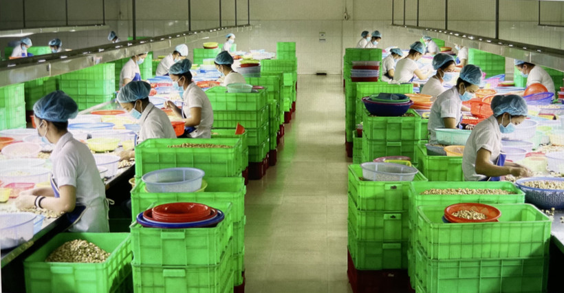 Nhiều hình thức liên kết phát triển nông nghiệp bền vững