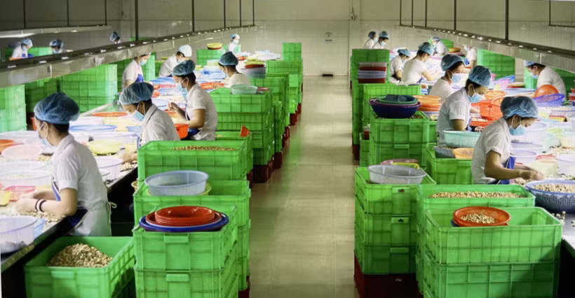 Nhiều hình thức liên kết phát triển nông nghiệp bền vững