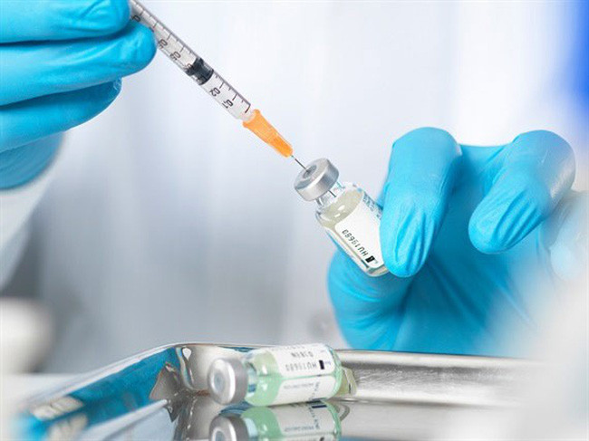 ILRI bắt đầu thử nghiệm vaccine ngừa dịch tả lợn châu Phi