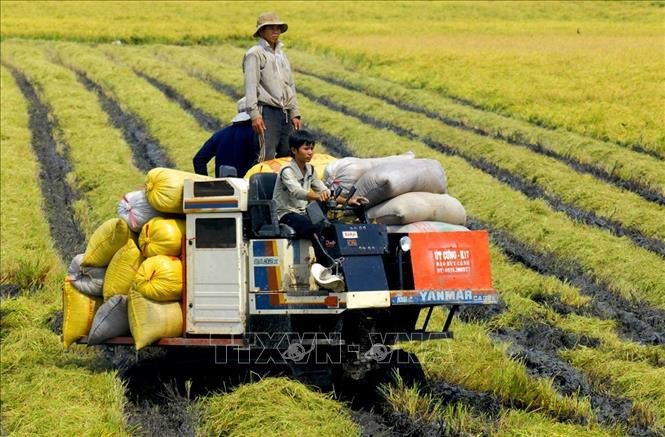 Phát triển nông nghiệp, nông thôn theo hướng công nghiệp hóa, hiện đại hóa