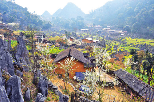 Cao nguyên đá nằm ở độ cao trung bình 1.000 - 1.600m so với mực nước biển, trên diện tích gần 2.356 km² trải dài qua địa bàn 4 huyện Quản Bạ, Yên Minh, Mèo Vạc và Đồng Văn của tỉnh Hà Giang. Ảnh Thanh Hà - TTXVN