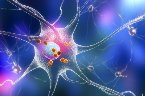 Nhật Bản phát hiện một loại protein mới gây bệnh Parkinson