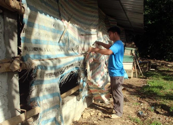 Tuyên Quang chủ động phòng chống đói, rét cho vật nuôi