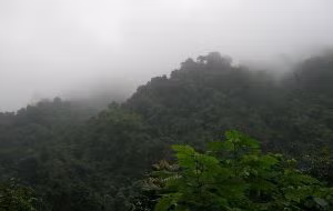 Quảng Nam ra mắt lực lượng bảo vệ rừng chuyên trách kết hợp du lịch sinh thái