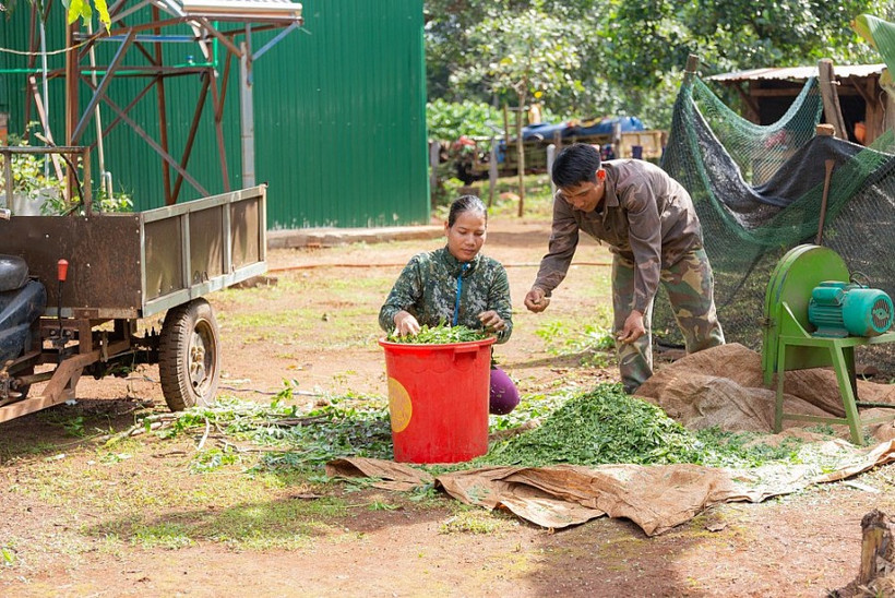 Dự án được triển khai tại Gia Lai. Nguồn: congthuong.vn