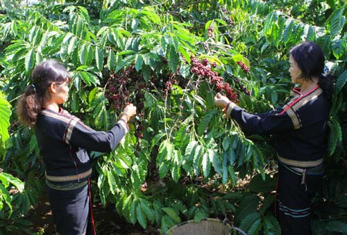 Bàn giải pháp phát triển tỉnh Đắk Lắk đến năm 2030, tầm nhìn đến năm 2045