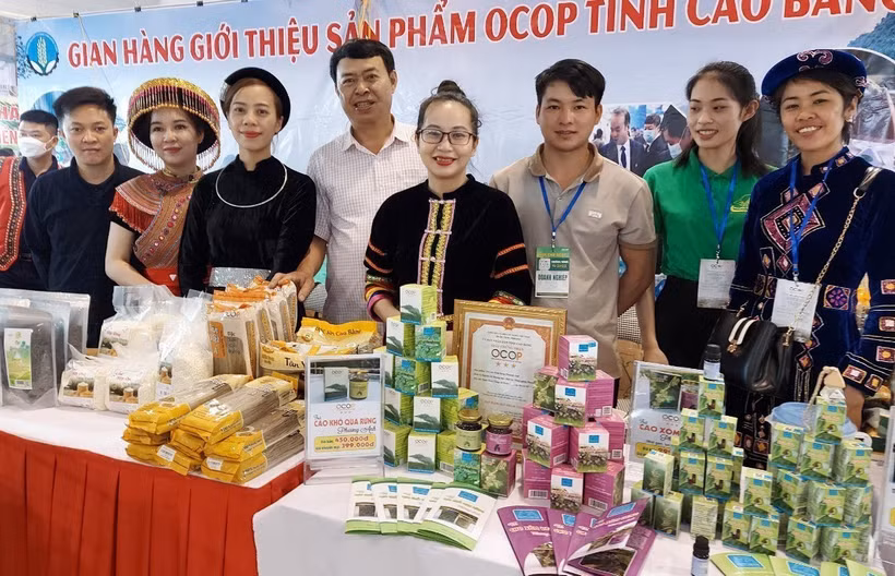 Gian hàng triển lãm các sản phẩm OCOP của tỉnh Cao Bằng tại Quảng Ninh. Ảnh: TTXVN phát