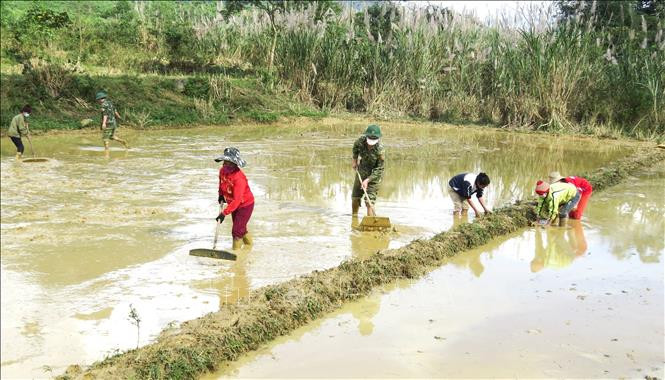 Những người lính mang quân hàm xanh và đồng bào người Rục (nhóm địa phương thuộc dân tộc Chứt) vùng biên xã Thượng Hóa, huyện Minh Hóa, Quảng Bình làm đất, đắp ruộng chuẩn bị xuống giống vụ lúa mới. Ảnh: Võ Dung -TTXVN