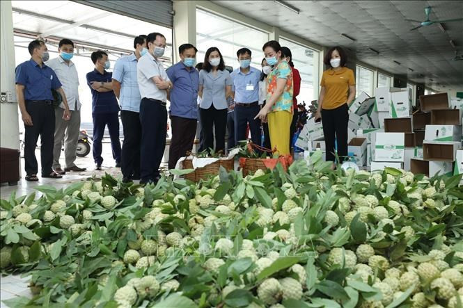 Lạng Sơn tiếp sức, hỗ trợ nông dân phát triển kinh tế nông nghiệp bền vững