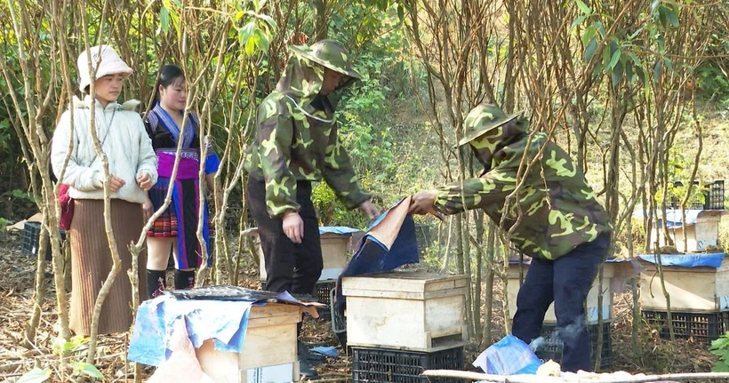 Trao quyền kinh tế cho thanh niên dân tộc thiểu số Lai Châu