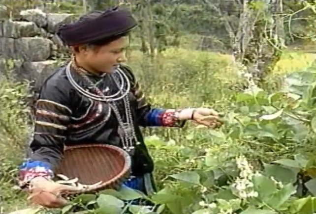 Dân tộc Pu Péo