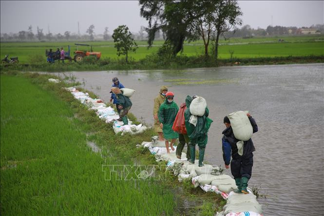 Đánh giá công tác phòng, chống thiên tai theo bộ chỉ số