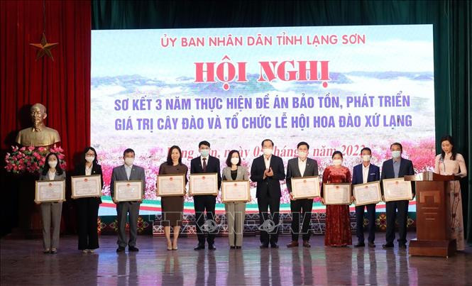 Xây dựng thương hiệu hoa Đào xứ Lạng đủ mạnh để vươn xa