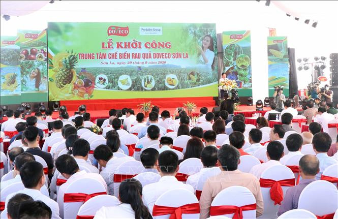 Khởi công Trung tâm chế biến rau quả Doveco Sơn La