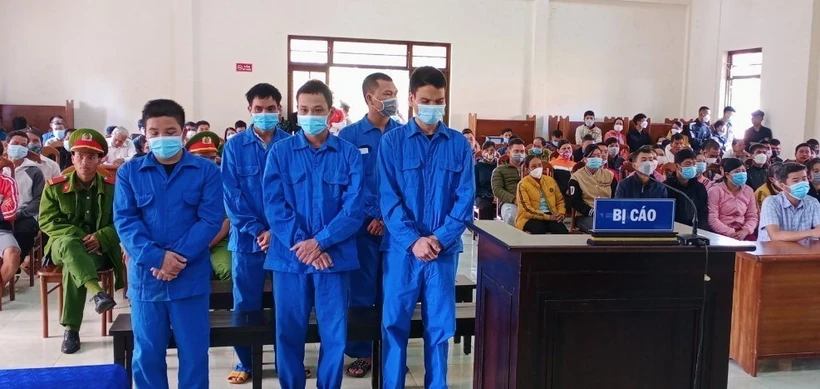 Án phạt thích đáng cho các đối tượng phá rừng tại huyện Kon Plông, Kon Tum