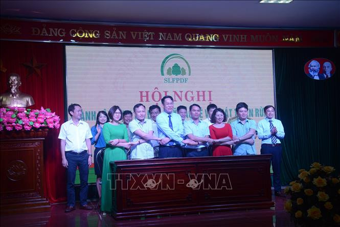 Chung tay bảo vệ và phát triển rừng khu vực Tây Bắc