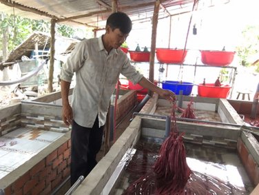 Anh Châu Văn Hồng, ấp Cầu Dừa (xã Mỹ Phước Tây, thị xã Cai Lậy, tỉnh Tiền Giang) kiểm tra các bể xi măng nuôi lươn không bùn của gia đình. Nguồn: danviet.vn 