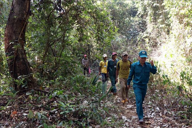 Đắk Nông tiếp tục đặt mục tiêu nâng cao độ che phủ rừng lên 42%
