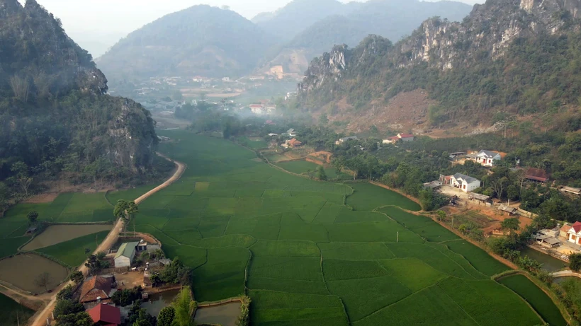 Do dân số gia tăng nên đất sản xuất nông nghiệp của người dân bản Cứp hiện còn rất ít. Ảnh: Hữu Quyết - TTXVN