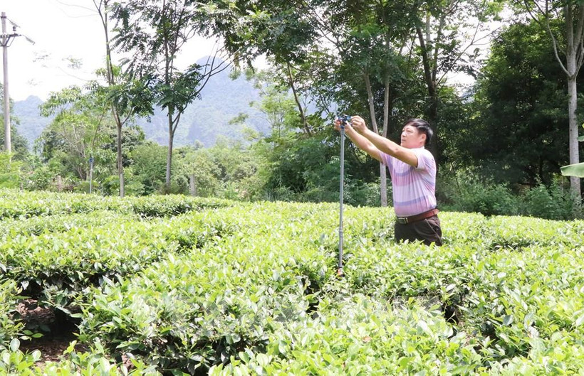 Cán bộ xã Bình Long hướng dẫn lắp đặt hệ thống van xoay tưới chè cho bà con xã Bình Long, huyện Võ Nhai. Ảnh: Hoàng Nguyên - TTXVN