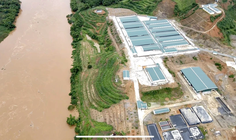 Quy định điều kiện cơ sở mua bán, nhập khẩu sản phẩm xử lý chất thải chăn nuôi